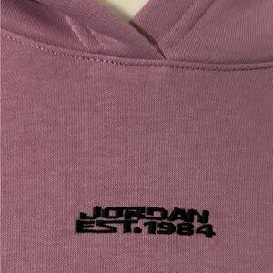 Jordan pink/purple Pullover Hoodie Established 1984